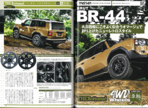 BRUT BR-44&Land Cruiser 250